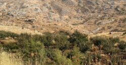 JPT22094 – Land for sale in ain dara 9777 SQM